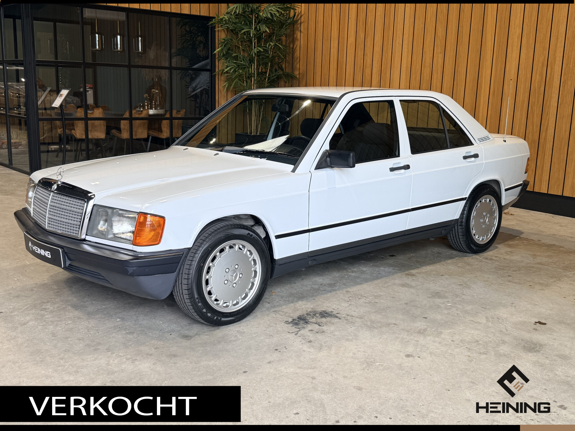 54451746-48.jpg