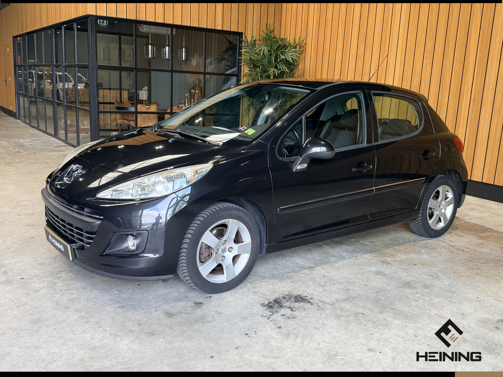 55390434