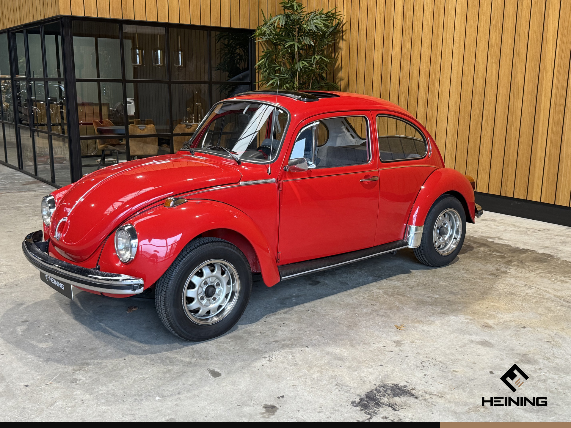 56834192-34.jpg