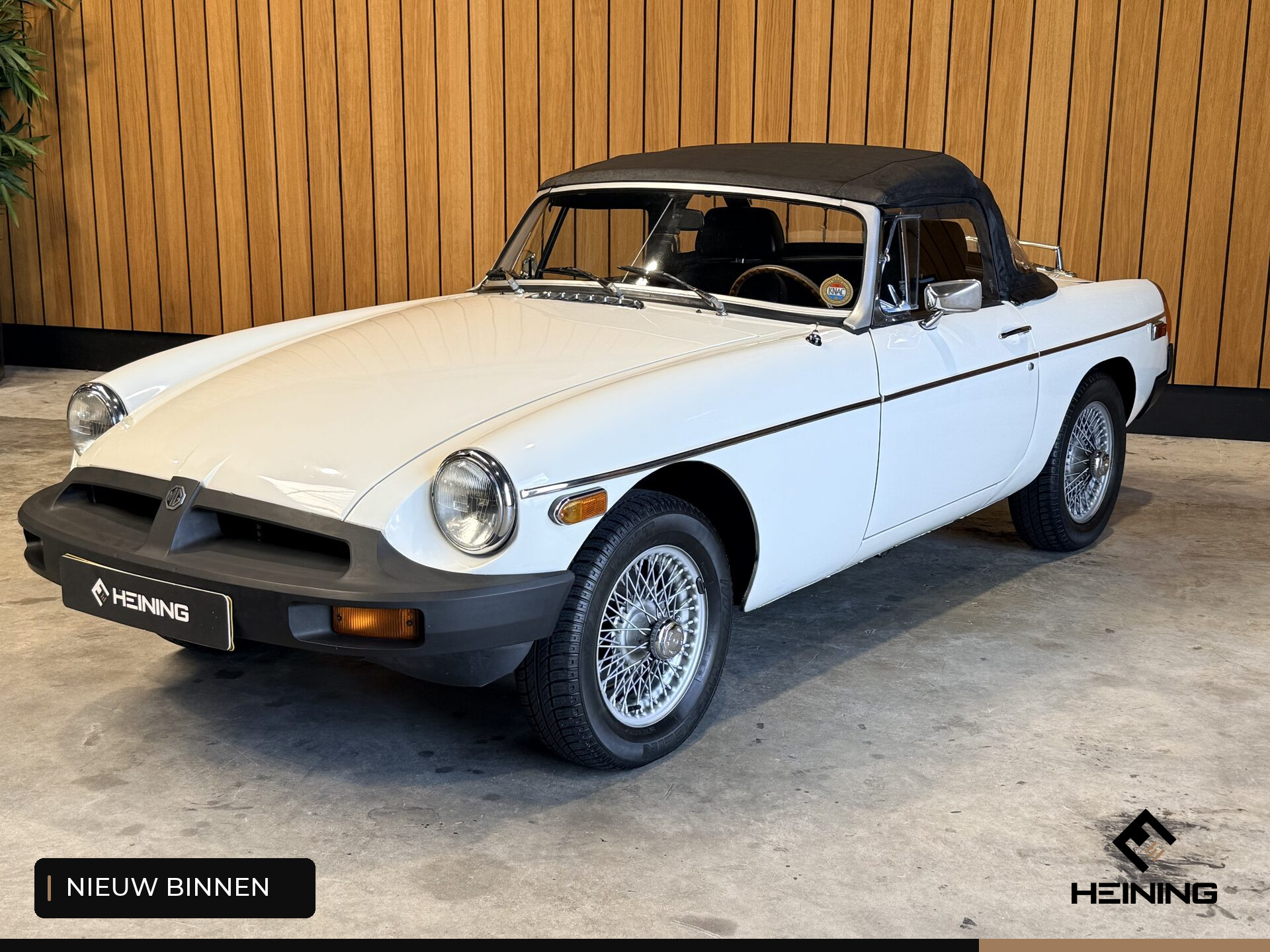 56359292-29.jpg